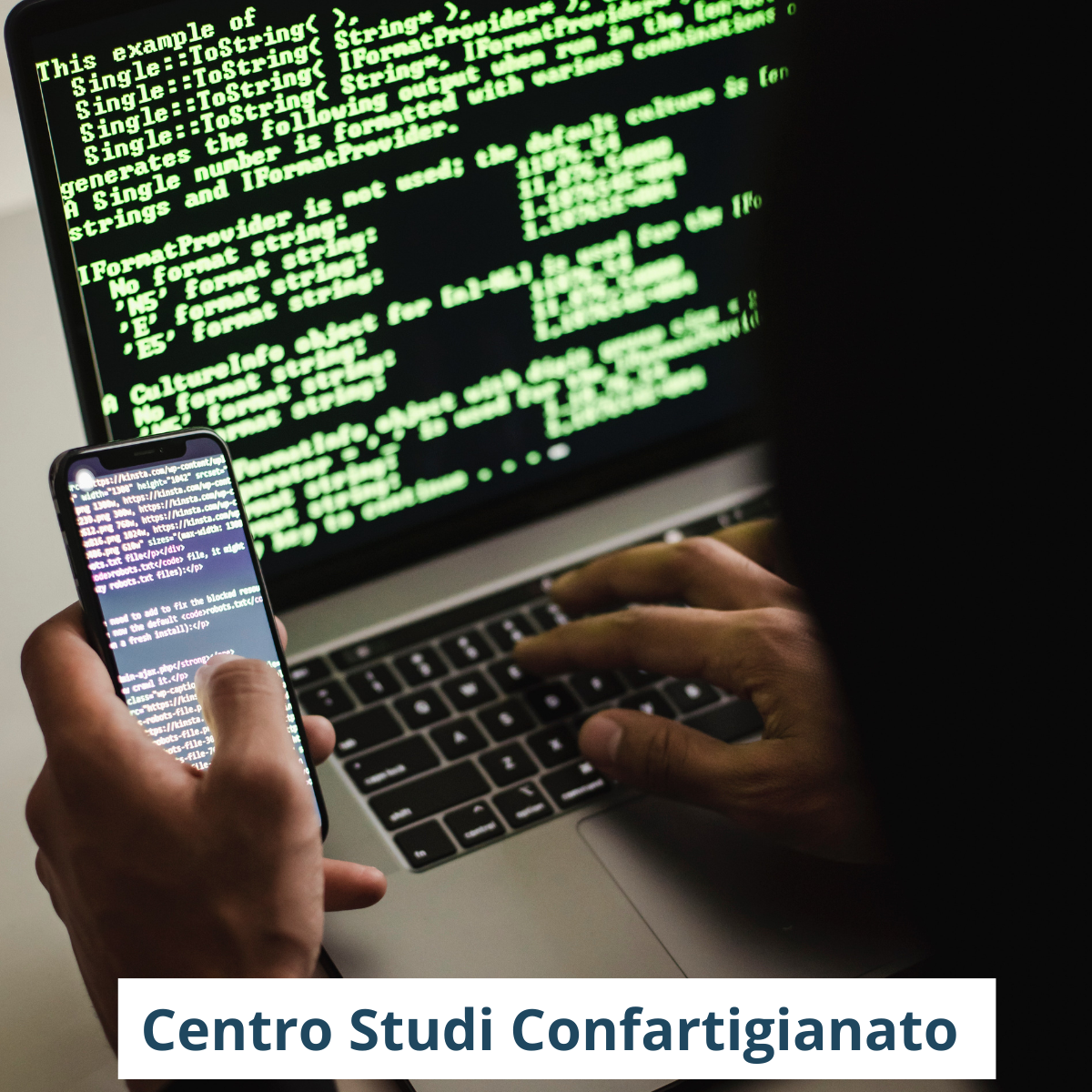 cyber crimini emilia romagna 2024 ricerca del centro studi di confartigianato emilia romagna